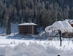 Alleghe - Rezidencia REGINA 
      