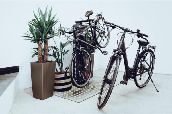 Dva bicykle zaparkované vedľa kvetináča s rastlinou v interiéri.