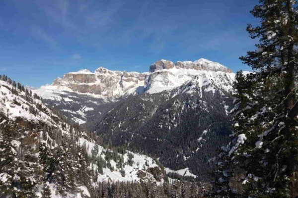 Zasnežené horské panoráma s lesmi pod modrou oblohou.  
