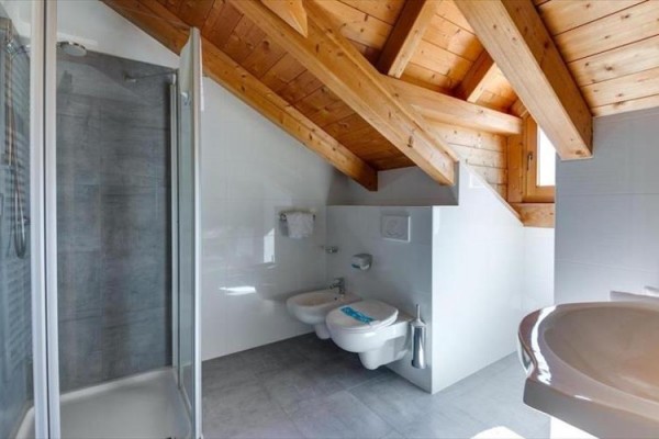 Kúpeľňa s dreveným stropom, sprchovacím kútom, toaletou a bidetom.