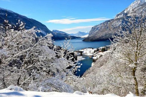 Zimná krajina s fjordom obklopeným zasneženými stromami a horami.