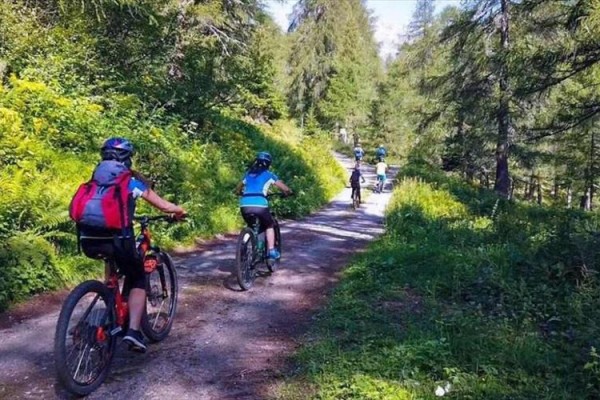 Ľudia jazdiaci na bicykloch po lesnej ceste.