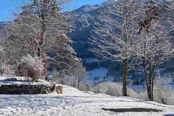 Zasnežená krajina s horami a stromami.