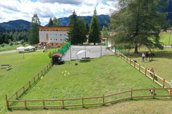 Zelená lúka s ohradou, vzadu budova, stromy a hory.